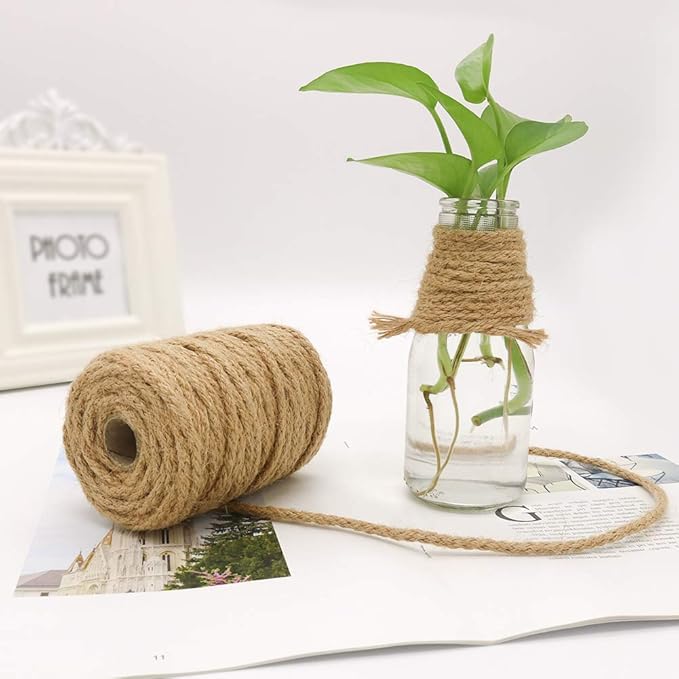 Tenn Well 5mm Jute Twine, 100 Feet Braided Natural Rope, Thick Twine for Crafts, Gift Wrapping, Gardening, Cat Tower Repair, Macrame Jute Cord