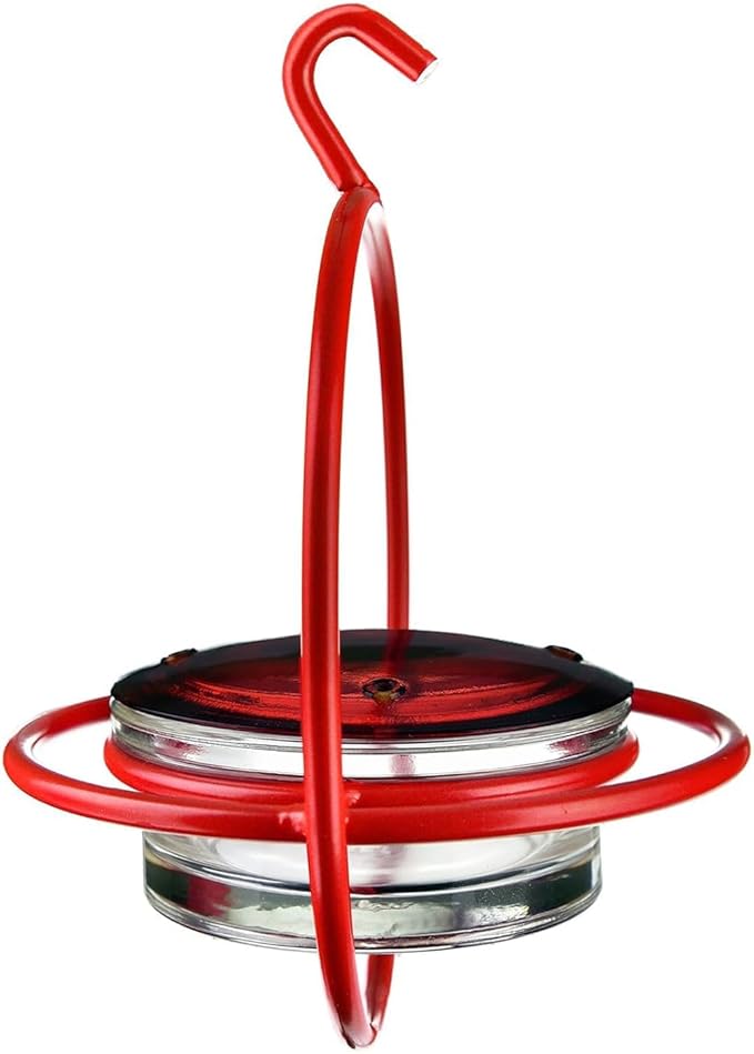 Hummingbird Feeder for Outdoors Hanging, 3.4 OZ Hummingbird Feeders, Glass Bowl with 4 Feeding Ports, Leak Proof Lid & Circular Perch, Bird Feeder (1, Red)