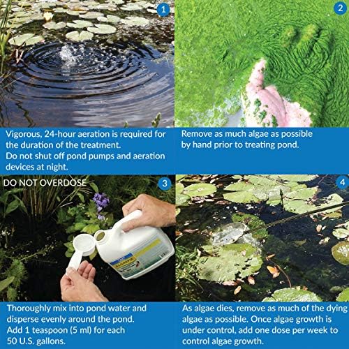 API POND ALGAEFIX Algae control 2.5-Gallon Bottle
