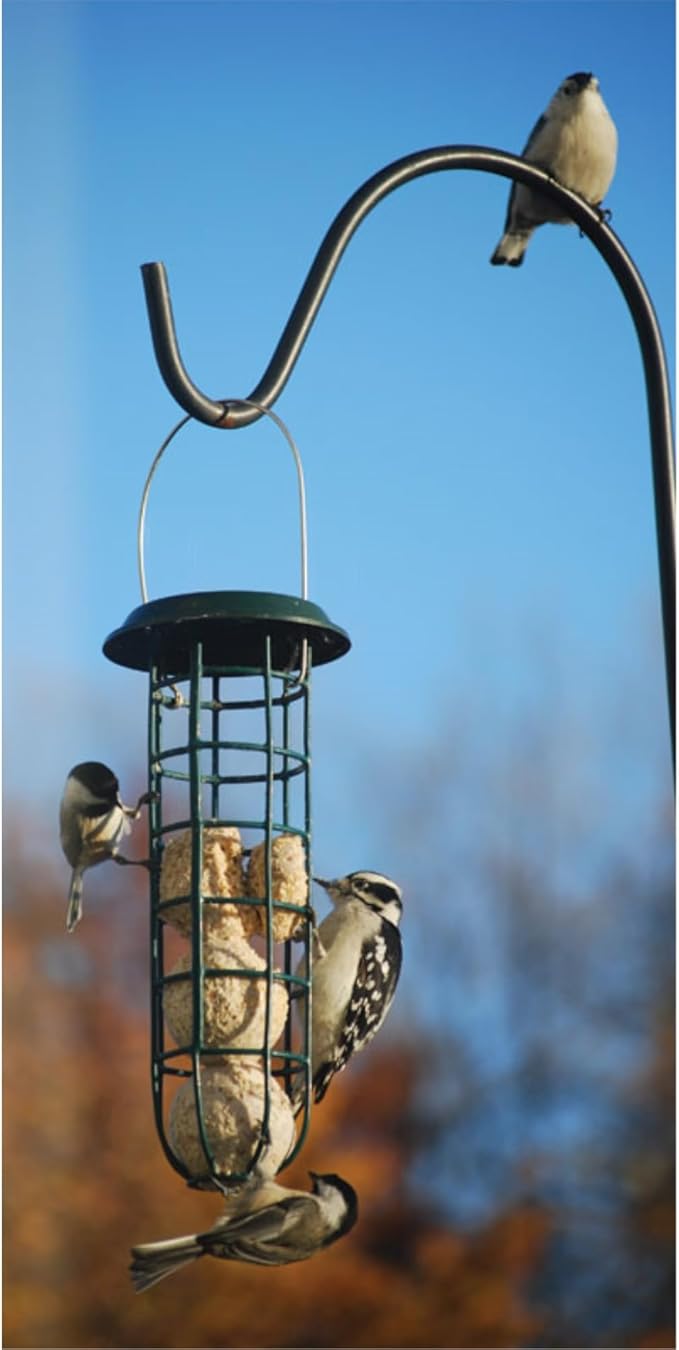 Wildlife 313920 16 oz Sciences 436 Suet Balls Birds Food - Insects & Nuts MP6 - Pack of 4