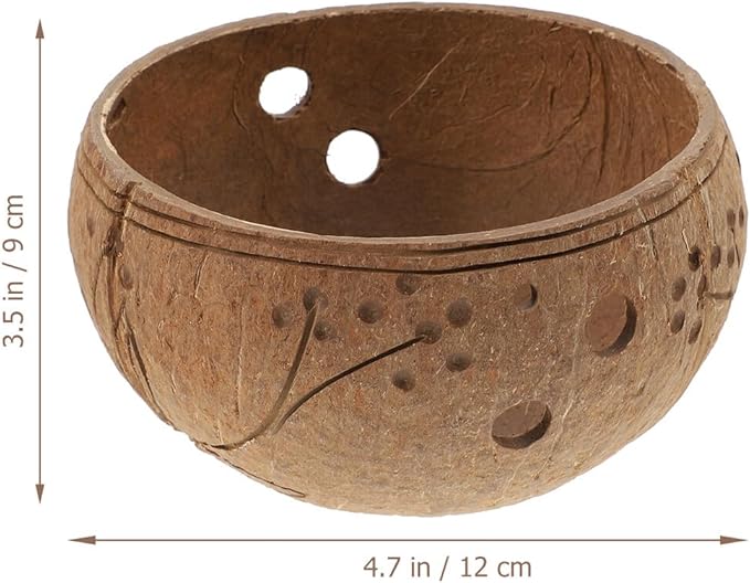Ciieeo Hanging Succulent Plant Pot Coconut Shell Planter for Indoor Outdoor Garden Decor Decorative Hanging Flower Pot Holder