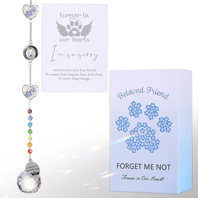 Pet Memorial Suncatcher Loss of Dog Sympathy Gift, Rainbow Bridge Dog Bereavement Cat Memorial Gifts, Passing Away Remembrance Gifts (1, Heart)
