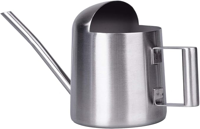 IMEEA Tiny Watering Can for Indoor Plants Bonsai Tree Stainless Steel Small Watering Can Succulents, 11oz/300ml