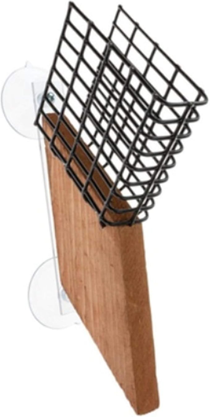 Songbird Essentials SE539 Suet Window Feeder (Set of 1)