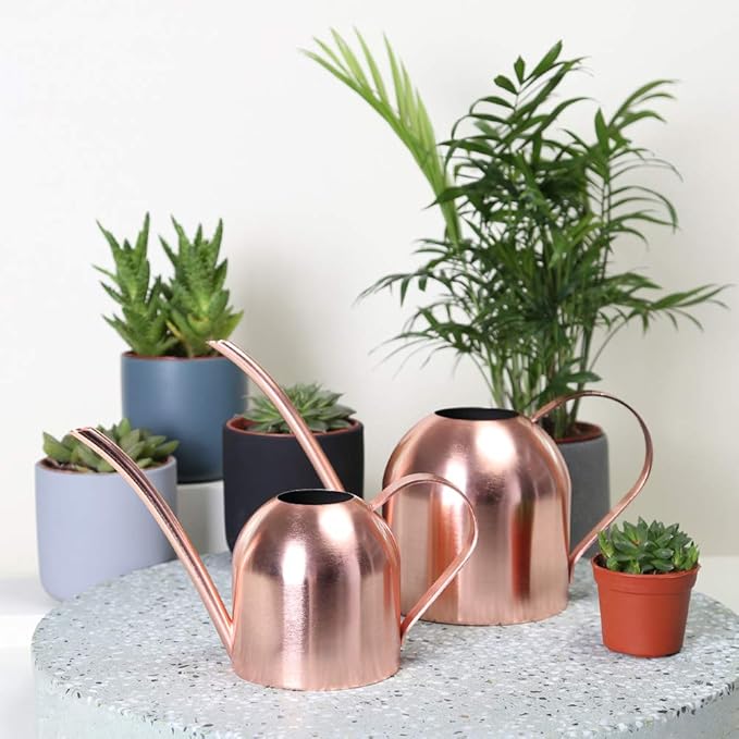 Stainless Steel Watering Can for Indoor Plants – Long Spout, Gentle & Even Watering, Precision Plant Water Can, Rose Gold 30 oz | E.Palace