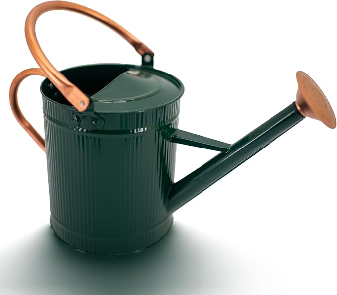 1 Gallon Watering Can, Plant Wate Can, Metal Watering Can with Removable Spout, Galvanized Watering jug, Nice Green Water Can for Indoor and Outdoor use