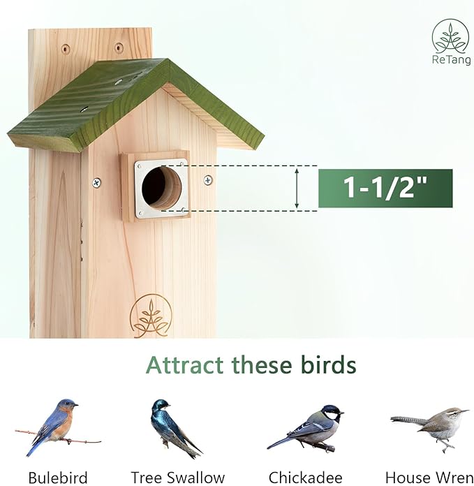 3/4 Thick Cedar Bird Houses with Metal Predator Guard, Nesting Box Birdhouse for Easy Cleaning, Bird Box for Outdoor Swith Viewing Window, Outdoor Wild Bird Watching, Swallow Wren Chickadee…