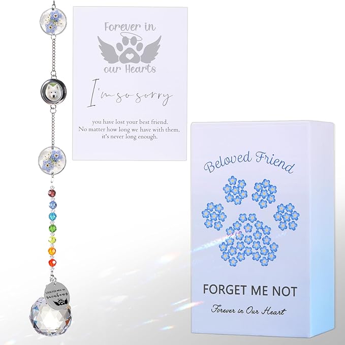 Pet Memorial Suncatcher Loss of Dog Sympathy Gift, Rainbow Bridge Dog Bereavement Cat Memorial Gifts, Passing Away Remembrance Gifts (1, Round)