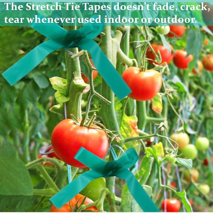 Stretch Tie Tape Roll - 2 Pack Total 300 Feet 1/2" Non-Adhesive Garden Staking Tie Roll Thick Sturdy Stretchable Garden Plant Tape Green Vinyl Plant Ribbon for Tomatoes, Grapes, Flowers and Trees