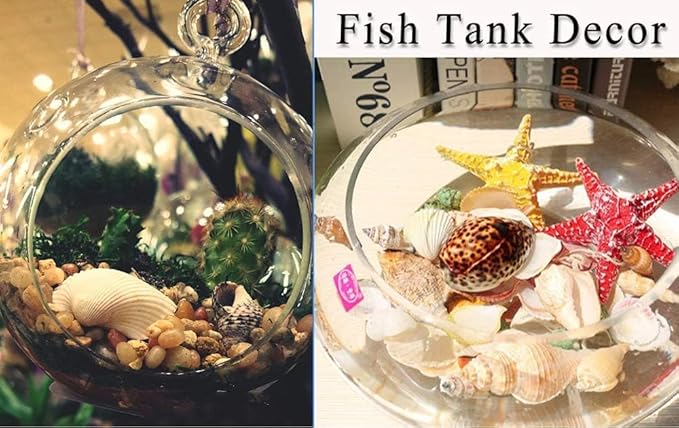 12 PCS Large Seashells Mixed Beach Sea Shells and Ocean Natural Starfish,Natural Colorful Sea Shells Starfish Up to 6.5 Inch, Perfect for Beach Theme Party Home Decor DIY Crafts Fish Tank Decorations