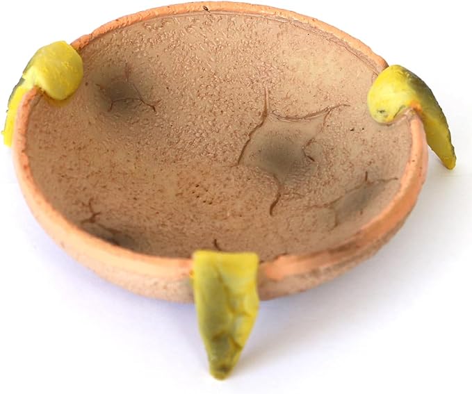 Reptile Feeding Dish round Bowl,Reptile rock food/Water Dish for Reptiles,Amphibians,Bearded Dragon,Lizard,Frog,Gecko,Tortoise,Hermit Crab and Other Little Critters,Made from Premium Resin(Small Size)