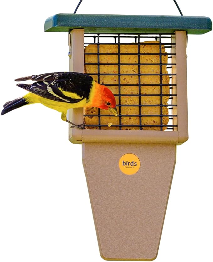 Birds Choice Suet Feeder with Tail Prop, Holds 1 Suet Cake | Hanging Suet Bird Feeder with Roof, Woodpeckers, Jays, Nuthatches | Sturdy for Garden & Backyard | Taupe & Green, 8" L x 3" W x 12" H
