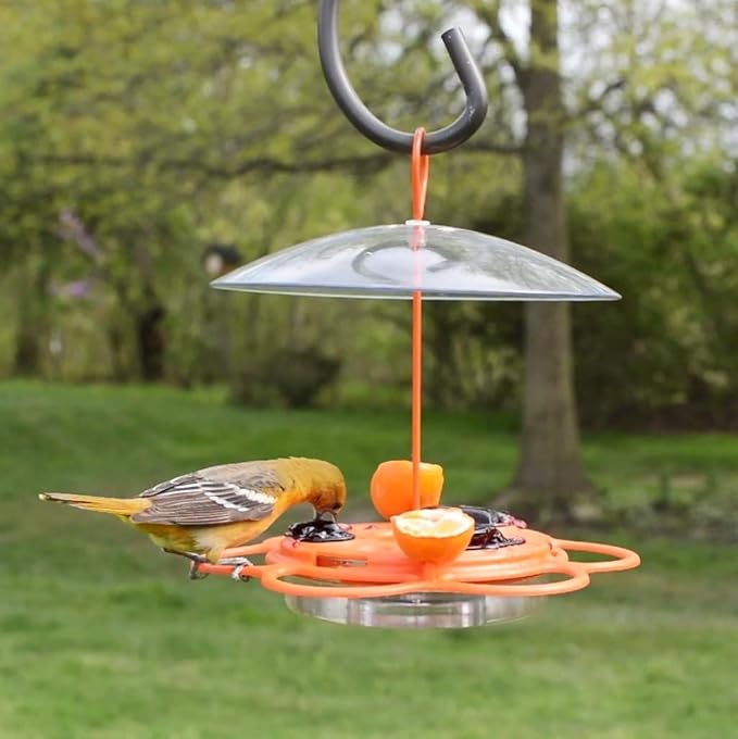 Nature's Way OFP1 All-in- Oriole Buffet Bird Feeder,Orange,(Pack of 6)