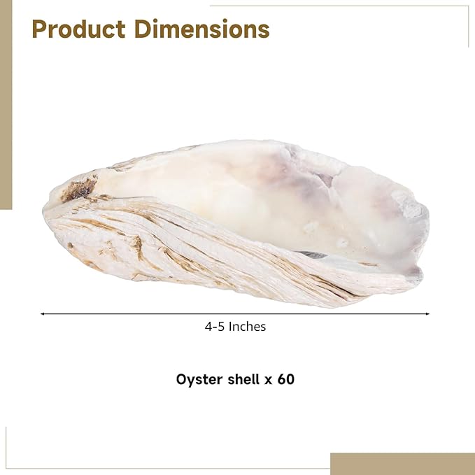 Homaisson 60 PCS Oyster Shells for Crafts, Large Oyster Shells for Decor, Natural North Sea Origin, 4~5 Inches Natural Design, Ideal for Aquarium Landscaping, Crack-Free Surface