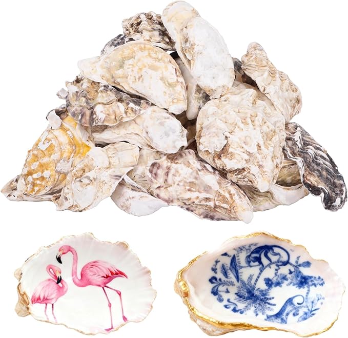 Homaisson 30 PCS Oyster Shells for Crafts, 4-5 in Large Oyster Shells for Decor, Natural North Sea Origin, Natural Oyster Shell for Aquarium Landscaping DIY Ornaments, Crack-Free Surface