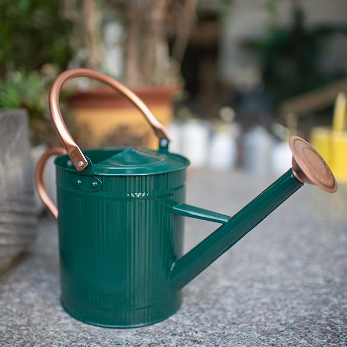 1 Gallon Watering Can, Plant Wate Can, Metal Watering Can with Removable Spout, Galvanized Watering jug, Nice Green Water Can for Indoor and Outdoor use