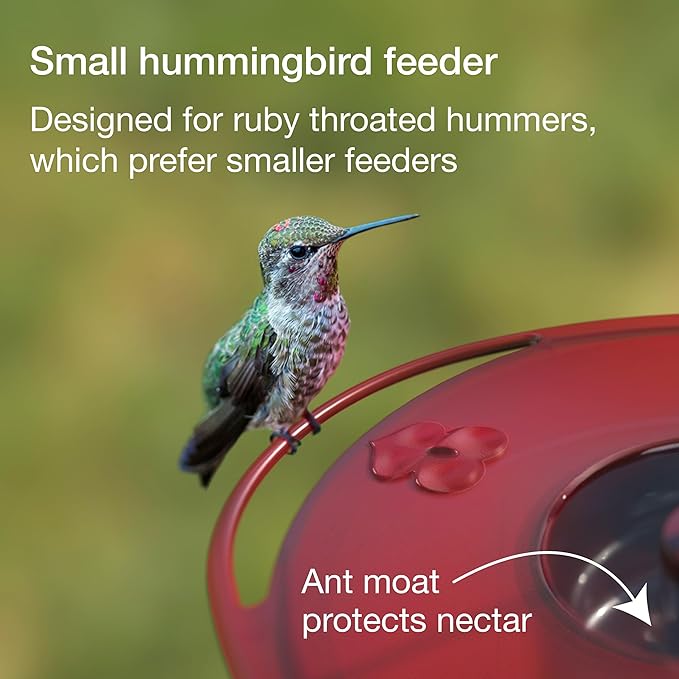Small Hummingbird Feeder – Jacobi Jayne® Sweet Spot™ Hummingbird Feeder – Best Humming Bird Feeder, Small Hanging Ant-Proof Saucer Feeder with Ant Moat, Easy to Clean, Ideal for Outdoors
