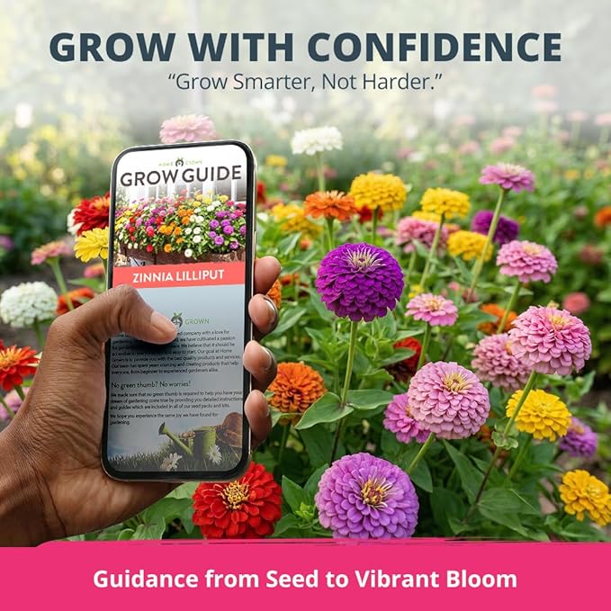 HOME GROWN Zinnia Lilliput Mix Flower Seeds – 600 Seeds (4g) Zinnia elegans – Colorful Zinnia Seed Mix for Planting Spring 2026 for Garden Beds, Containers & Cut Flowers, Easy Grow Zinnia Seeds