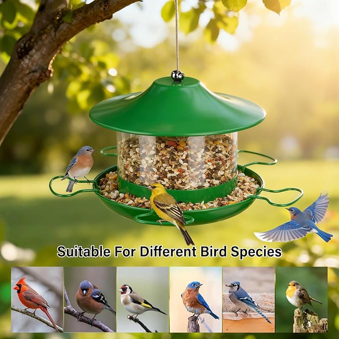 Bird Feeders for Outdoors Hanging Bird Feeder Wild Birds Seed,4LB Metal Hanging Feeders,Large Wild Feeders for Cardinals, Chickadees, Durable Backyard Feeders,Green