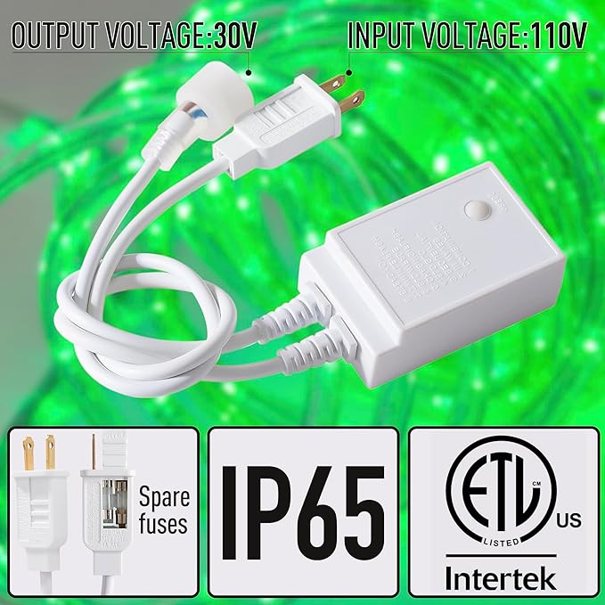 Waterproof LED Rope Lights, Connectable & Flexible with 8 Modes, Outdoor Lighting for Deck, Garden, Pool, Patio & Christmas Decor (Green, 100ft)
