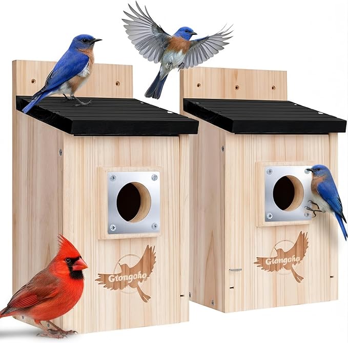 Gtongoko 2 Pack Bird Houses for Outside Clearance with Metal Predator Guard Blue Birdhouses for Outdoors Nesting Box for Cardinals Swallows Finches Chickadee Assembly Required