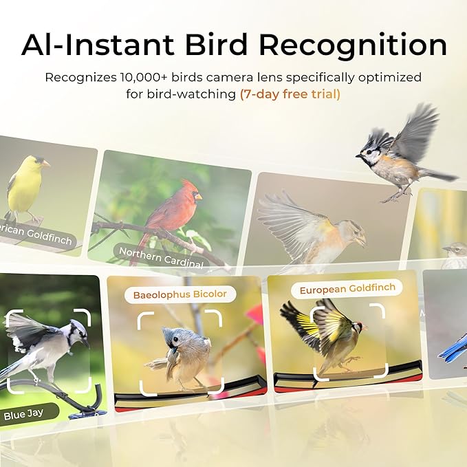 TT Nature Smart Bird Feeder with Camera Solar Powered Squirrels-Proof, AI Identify Bird Species & Instant Arrival Notification Camera, Data Security, Metal Case 3.2L Large Capacity Gift, Red