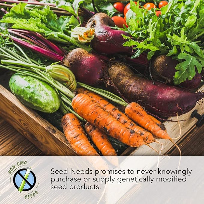 Seed Needs Rainbow Carrot Seeds for Planting Multicolor Carrots - Non-GMO Heirloom & Untreated Veggie Seed to Grow a Home Grown Vegetable Garden in Fall or Spring (2 Packs)