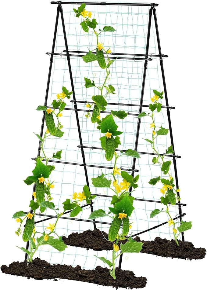 Garden Trellis for Climbing Plants, 71" H x 32" W Metal A-Frame Cucumber Trellis Outdoor Fruits Watermelon Vegetable Tomato Squash Peas Beans, with Netting, Black