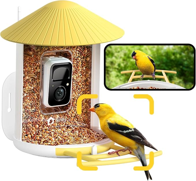 NETVUE by Birdfy AI Smart Bird Feeder with Camera, AI Auto Capture Each Bird Visit & Identify 6000+ Species, Cloud Store & Live Birdwatching, Ideal Gift (Yellow)