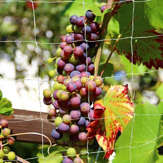 Tcamp Heavy-Duty Polyester Plant Trellis Netting 5 x 15ft (2 Pack) (5 Ft X 15 Ft)