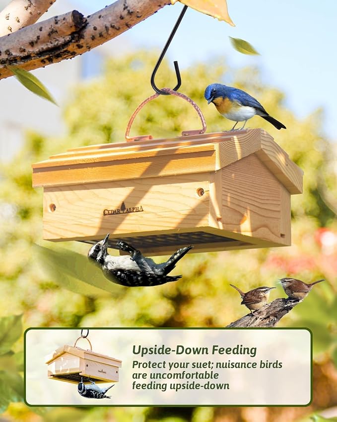 Upside Down Suet Feeder + Large Tree Hanger - Wild Bird Feeder with Rainproof Roof for Attracting Woodpeckers Nuthatches - Copper Hanger Alaskan Old Growth Red Cedar - Squirrel Proof Feeder