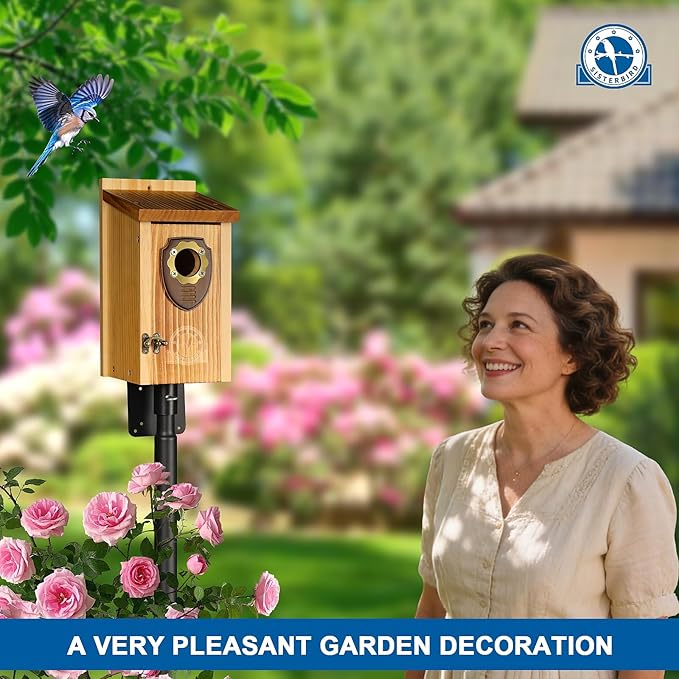 Pack of 2 Bluebird Houses for Outside, Premium Wooden Bird House, Bluebird House for Outdoor, Courtyard Decoration Bird Nest, Bluebird Finch Swallow Wren Chickadee