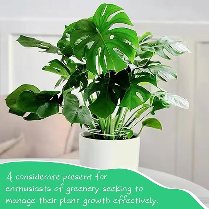 5 PCS Plant Stem Holder Support Turtle Shell Bamboo Clam Set for Climbing Plants Indoor Monstera Leaf Plant Support Accessories for Outdoor Gardens Keeps Plants Thriving Growth (White)