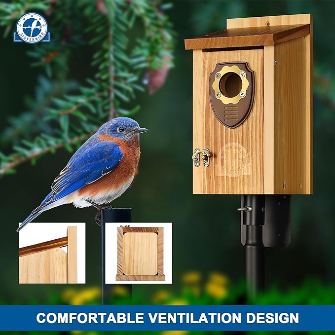 Pack of 2 Bluebird Houses for Outside, Premium Wooden Bird House, Bluebird House for Outdoor, Courtyard Decoration Bird Nest, Bluebird Finch Swallow Wren Chickadee