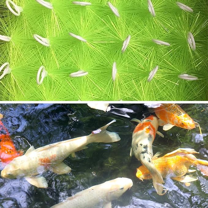 RINOO 2 Pcs Fish Pond Filter Brushes Set for Koi Pond Filter Fish Tank Aquarium Water Garden Pond Skimmer Filter Cleaning Brush 16 Inch by 4.7 Inch (Green)