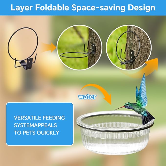 Glass Squirrel and Bird Feeder for Outdoors - No Assembly, Removable Bowl for Wet Food, Water or Bird Bath, Panoramic View, Easy Tree or Fence Mount, Easy to Clean