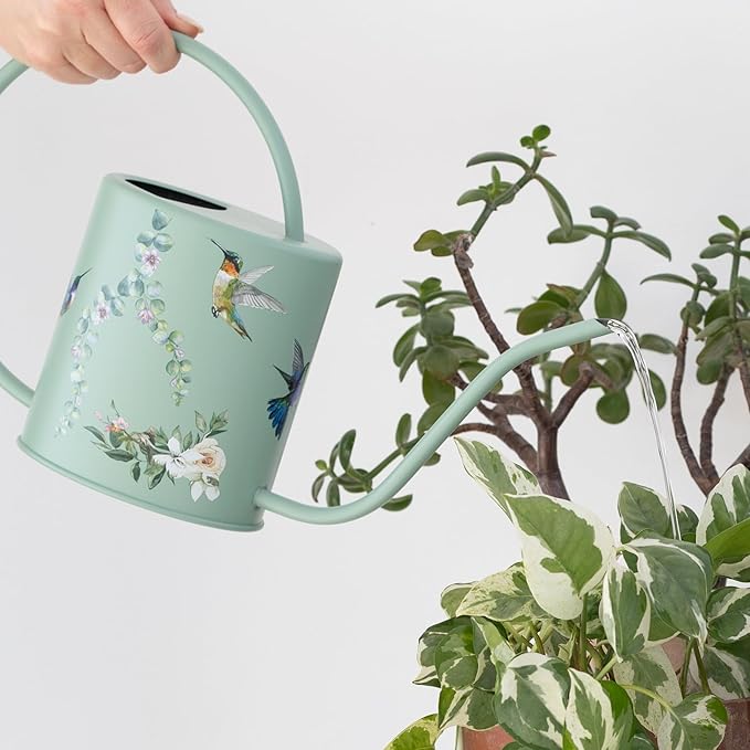 Watering Can for Indoor House Plants & Spray Water Mist Bottle - Cute Decorative Metal Gardening Small Water Can for Houseplants & Flowers with Long Spout - 1.5L 51floz 0.4 Gallon (Hummingbird Sage)