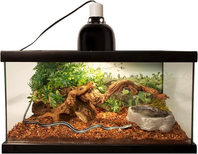 Zoo Med Reptile Bark Fir Bedding, 8 Quarts | Pack of 2