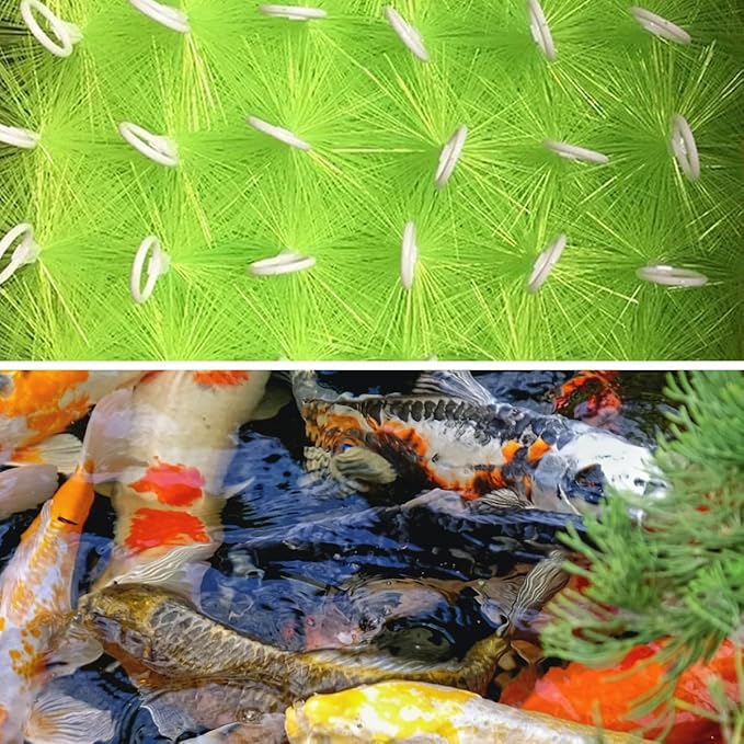 RINOO 2 Pcs Fish Pond Filter Brushes Set for Koi Pond Filter Fish Tank Aquarium Water Garden Pond Skimmer Filter Cleaning Brush 20 Inch by 4.7 Inch (Green)