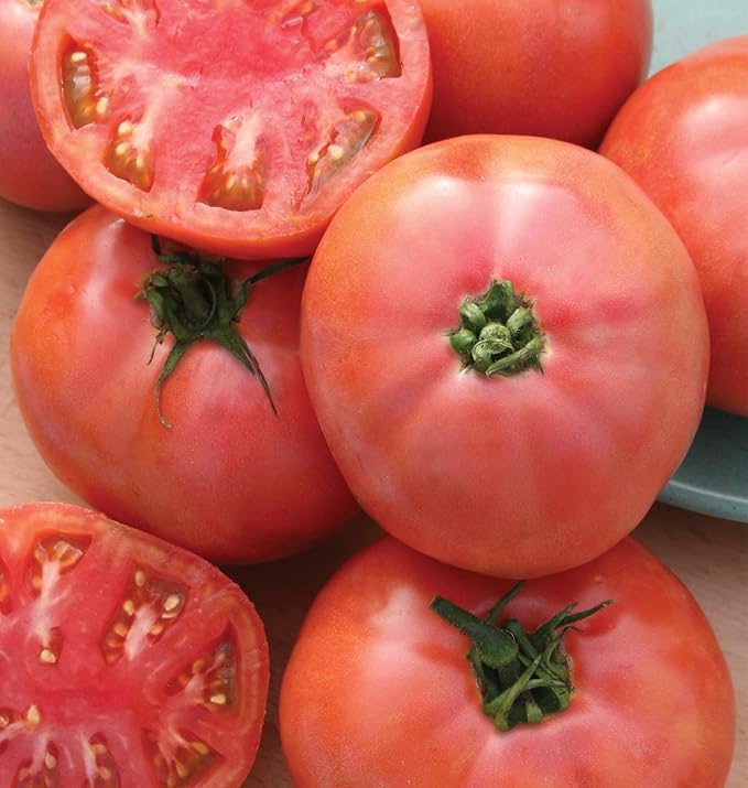 Burpee 'Brandywine', Pink Beefseak Tomato, 90 Non-GMO Seeds
