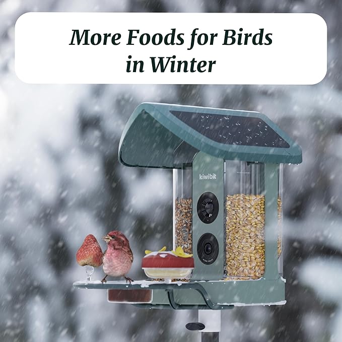 Beako™ Complete Bird Feeder Kit DIY Add-Ons Including Mini Hummingbird Feeder, 2 Fruit Holders, Jelly Feeder, Compatible with Beako™ Smart Bird Feeder with Camera to Attract More Birds