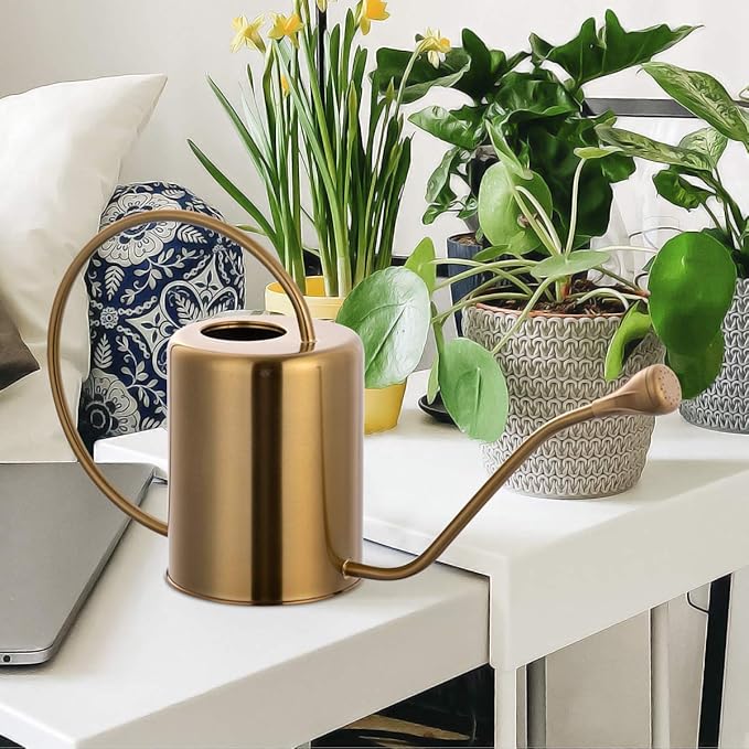 Yowo 1/2 Gallon 68oz Long Spout Stainless Steel Gold Colored Watering Can for Indoor Plant Watering or Outdoor Gardening with 2 Removable Spray Spout for Flowers, Medium