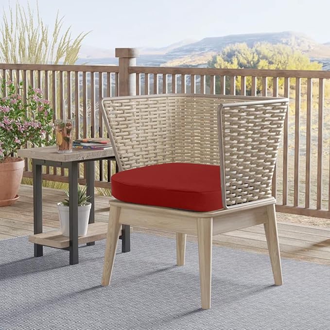 idee-home Outdoor Chair Cushions Set of 2, 19" x 19" x 3" Thick D-Shaped Patio Furniture Outdoor Seat Cushions Waterproof with Ties, Dining Pads