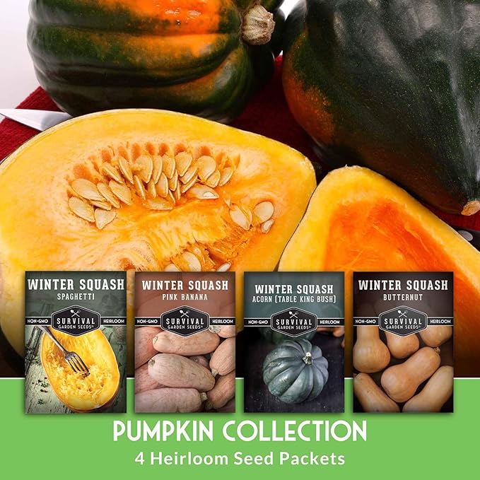Winter Squash Variety Pack – 4 Heirloom Types for Planting: Butternut, Acorn, Pink Banana & Spaghetti – Non-GMO Garden Vegetables – Survival Garden Seeds