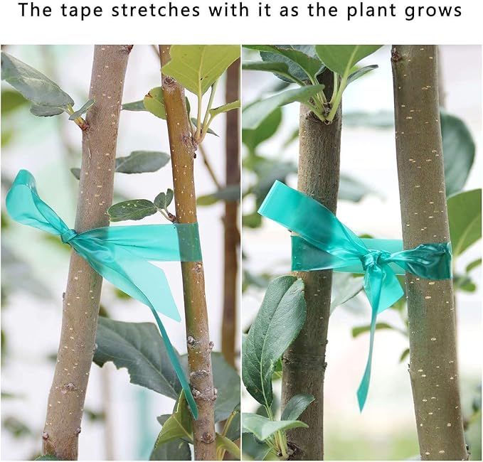 Easytle Stretch Tie Tape Roll, 1/2" 150ft Garden Tie Tape, Thick Sturdy Plant Ribbon Garden Green Vinyl Stake Gardening Tools for Indoor Outdoor Patio Plant Use (10 Pack)