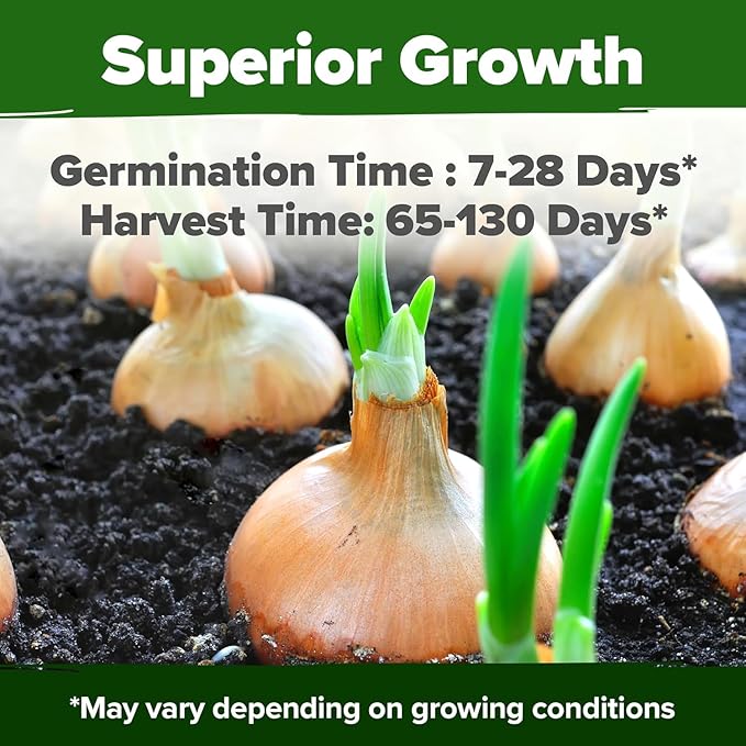 HOME GROWN 8 Onion Variety Mix 1600+ Heirloom Non-GMO Seeds for Planting, High Germination, Red, Yellow, White, Sweet Vidalia, Spanish Bulb Onions, Green Scallions, Indoor Outdoor Garden (Allium cepa)