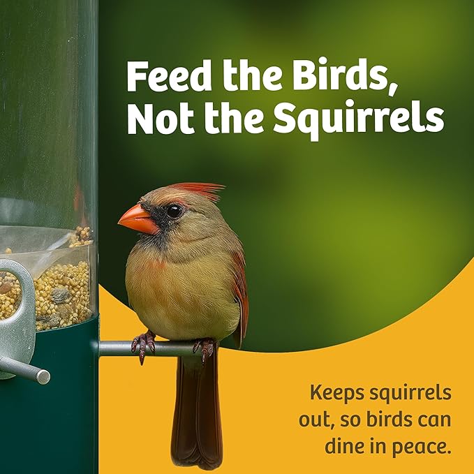 Birds Choice Classic Squirrel Proof Bird Feeder with Pole Mount | Tube Bird Feeder for Cardinals, Chickadees, Woodpeckers | Sturdy Steel for Long-Lasting Use | Backyard Bird Seed Dispenser | Green
