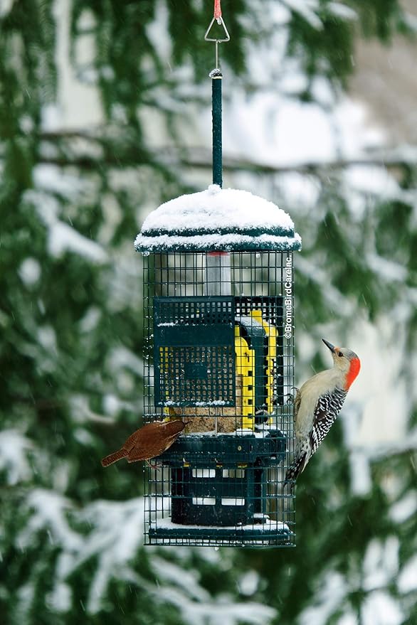 Squirrel Buster Suet Squirrel-Proof Suet Bird Feeder with Two Suet Cake Trays, Two Crumb Ports, Mess-Free Suet Loading, Durable Green Design for Clinging Birds