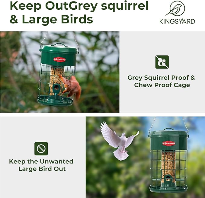 Kingsyard Upgraded Squirrel Proof Caged Bird Feeder for Outdoor Hanging - Additional Storage Tube Bird Feeder with 4 Feeding Ports & Perches, Easy to Clean & Refill. Green