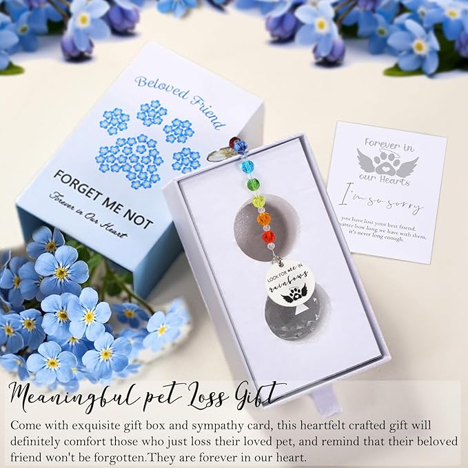 Pet Memorial Suncatcher Loss of Dog Sympathy Gift, Rainbow Bridge Dog Bereavement Cat Memorial Gifts, Passing Away Remembrance Gifts (1, Heart)